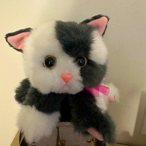 Baby kitty kitty kitten rattle plush toy